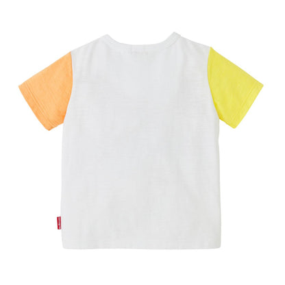 12421 - Ｔシャツ（HB）